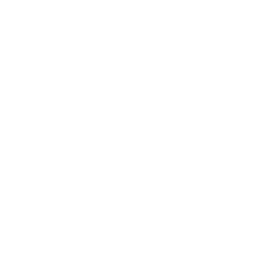 4-1 garage-door-opener