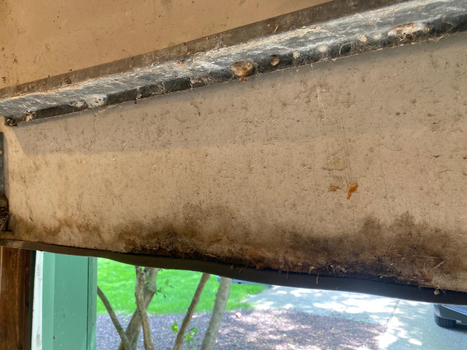 Garage Door Replacement Shirley St, Omaha